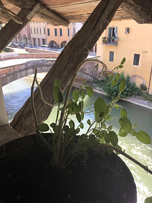 mansardina artista Lägenhet Padua Exteriör bild